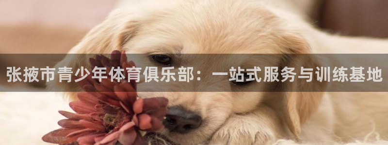 凯发官网下载注册:张掖市青少年体育俱乐部:一站式服务与训练基