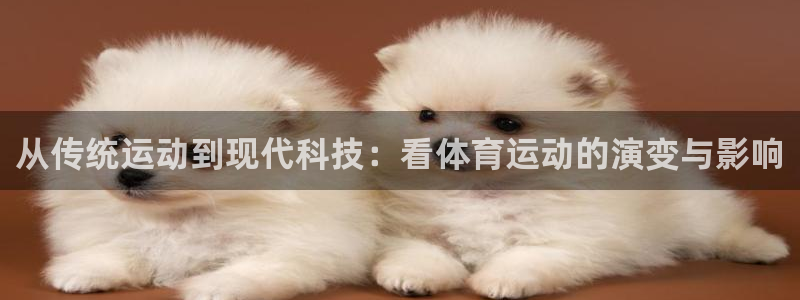 凯发官网下载招商电话号码:从传统运动到现代科技:看体育运动的