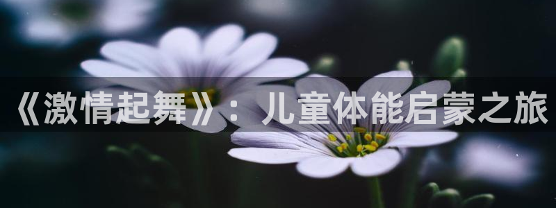 凯发官方正版app科技:《激情起舞》:儿童体能启蒙之旅