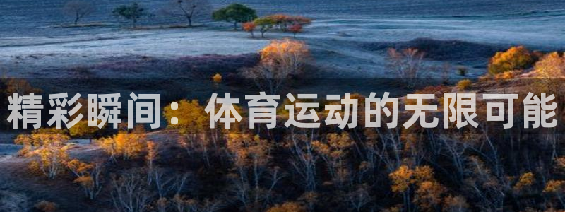 凯发官方正版app集团官网首页:精彩瞬间:体育运动的无限可能