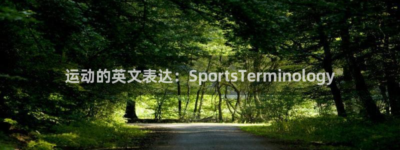 海南凯发官网下载:运动的英文表达:SportsTermino