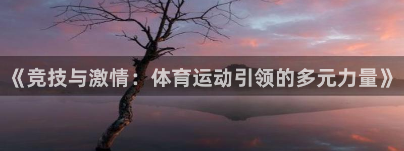 凯发官方正版app娱乐首页官网下载:《竞技与激情:体育运动引